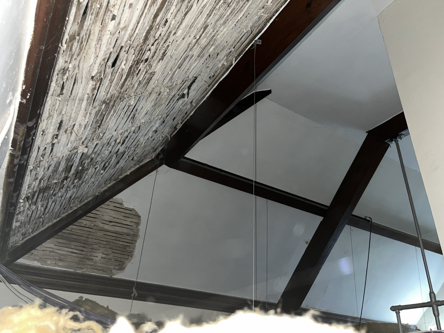 lath and plaster condition survey