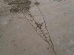 pre-condition report surveyors