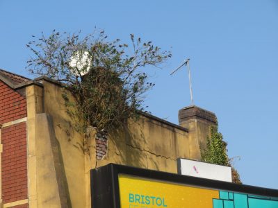 Bristol commercial survey