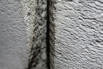 RAAC close up